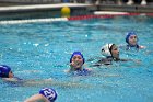 WWPolo vs CC  Wheaton College Women’s Water Polo compete in their sports inaugural match vs Connecticut College. - Photo By: KEITH NORDSTROM : Wheaton, water polo, inaugural